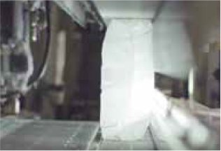 Individual Quality Test